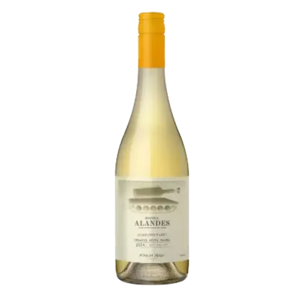 Alandes Concrete Tank White Blend