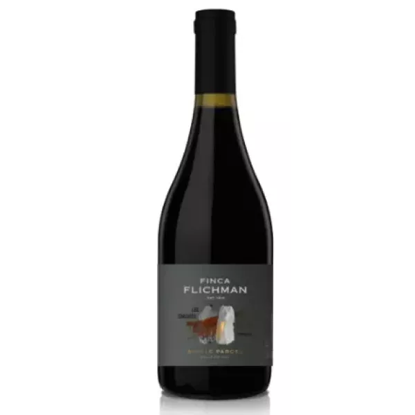 Finca Flichman Single Parcel Chacayes