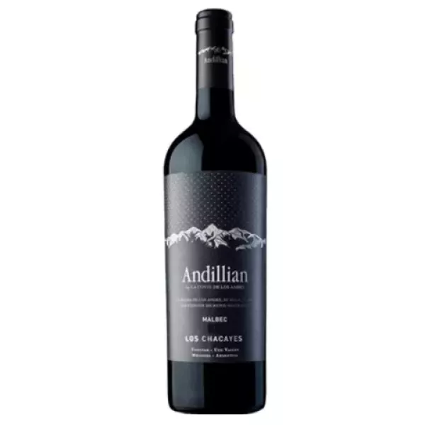 Andillian Malbec Chacayes